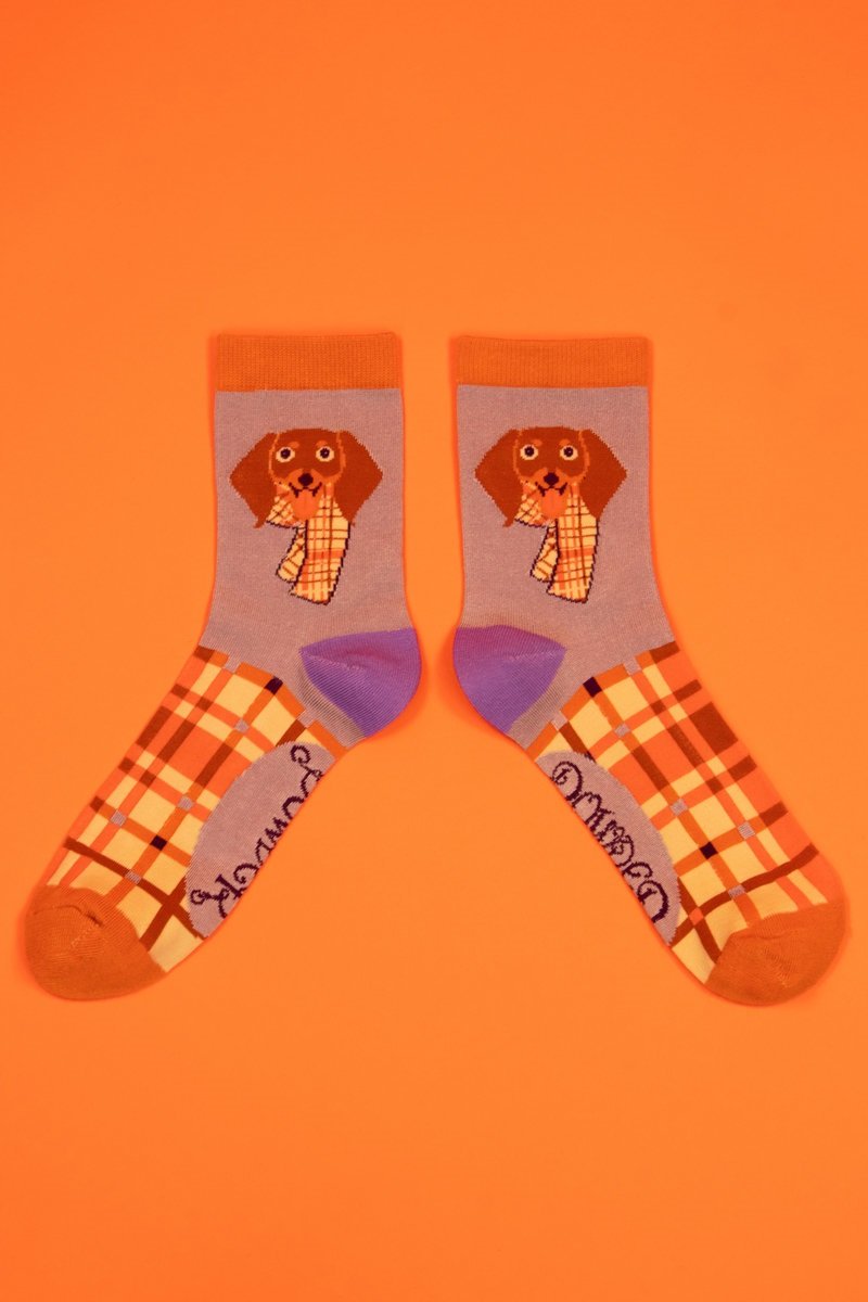 Pringle Sausage Dog Ankle Socks