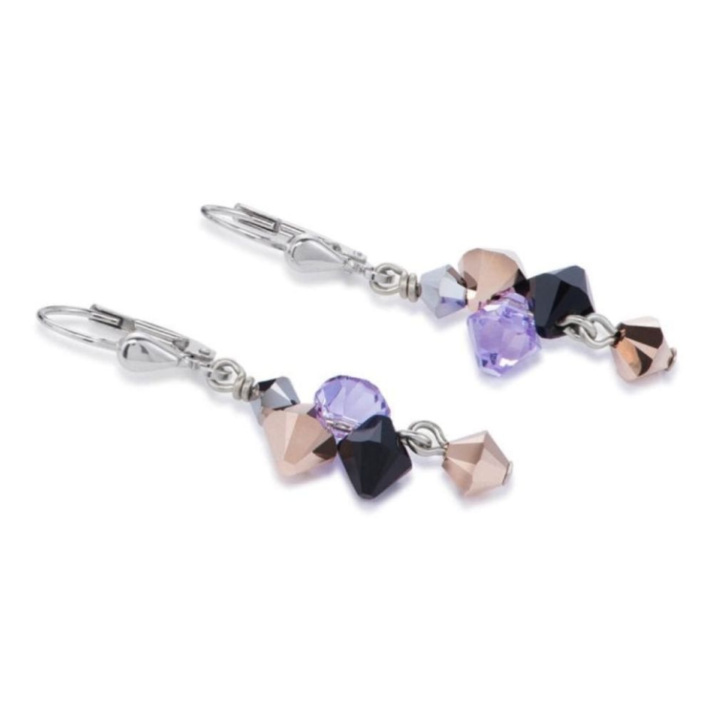 Violet, Black & Rose Gold Crystals & Stainless Steel Pierced Earrings