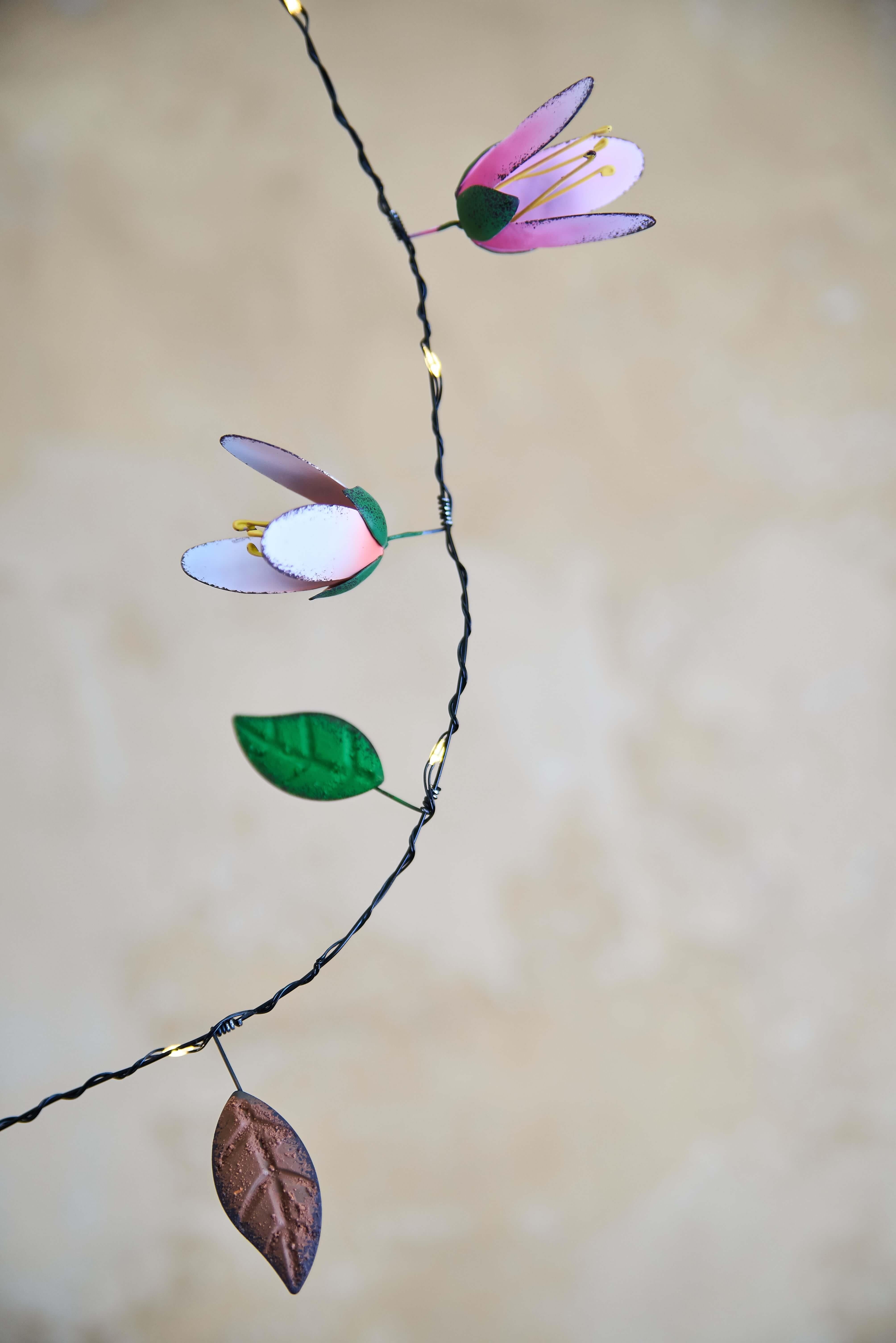 Magnolia String Light
