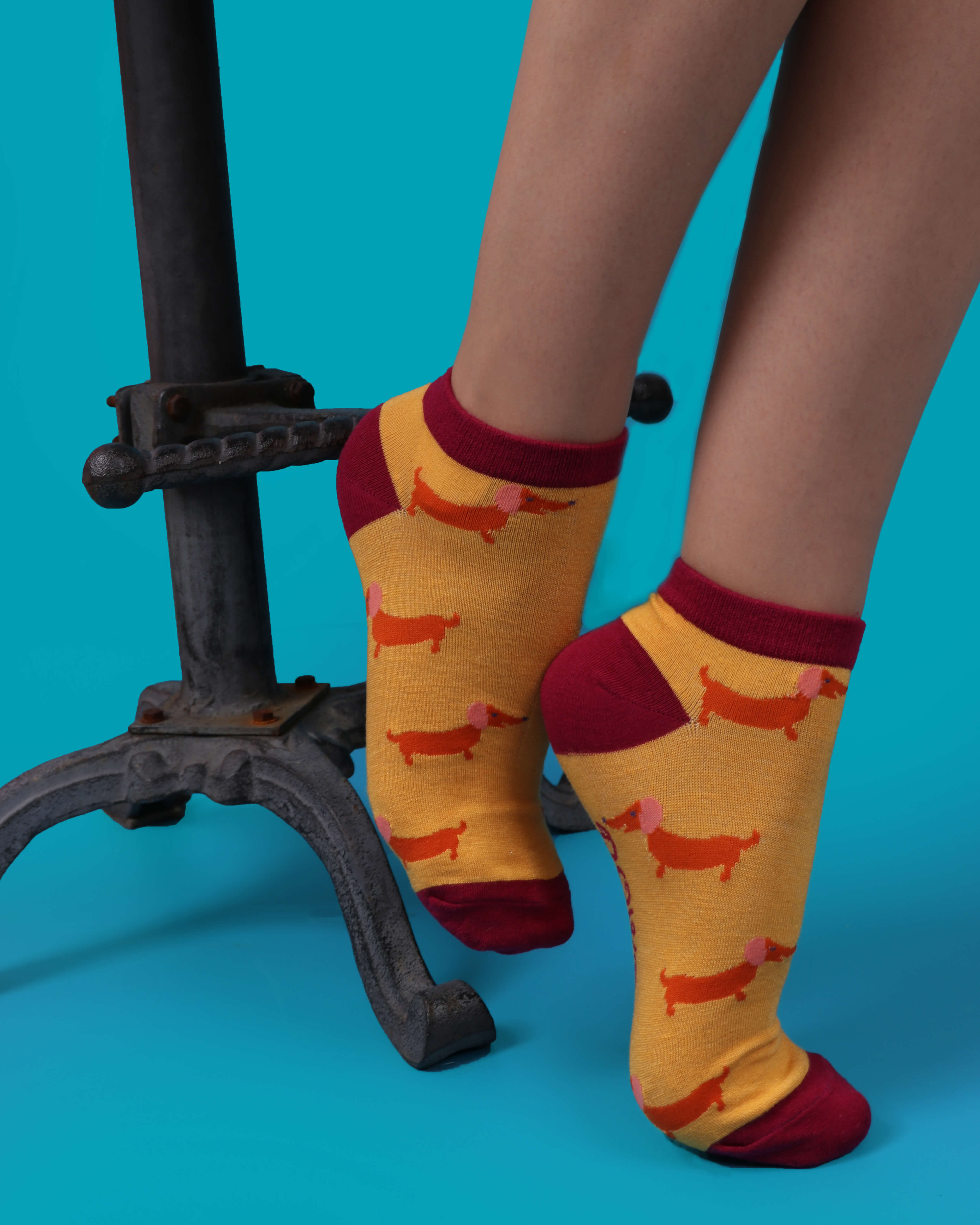 Ladies Trainer Socks - Sausage Dog