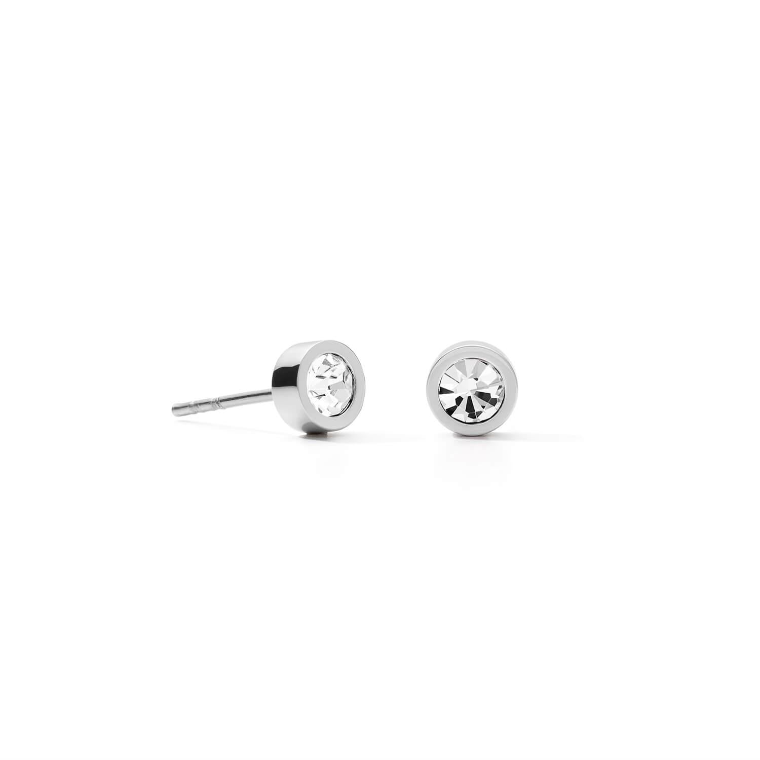 Silver Sparkling Dot Earrings