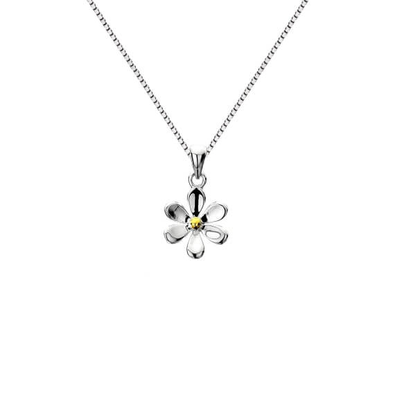 Origins Daisy Brass Pendant Necklace
