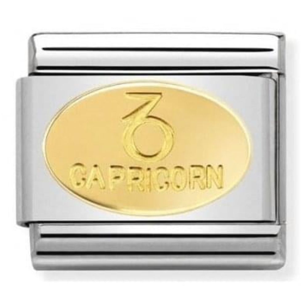 Stainless Steel & Gold Zodiac Capricorn Symbol Classic Link