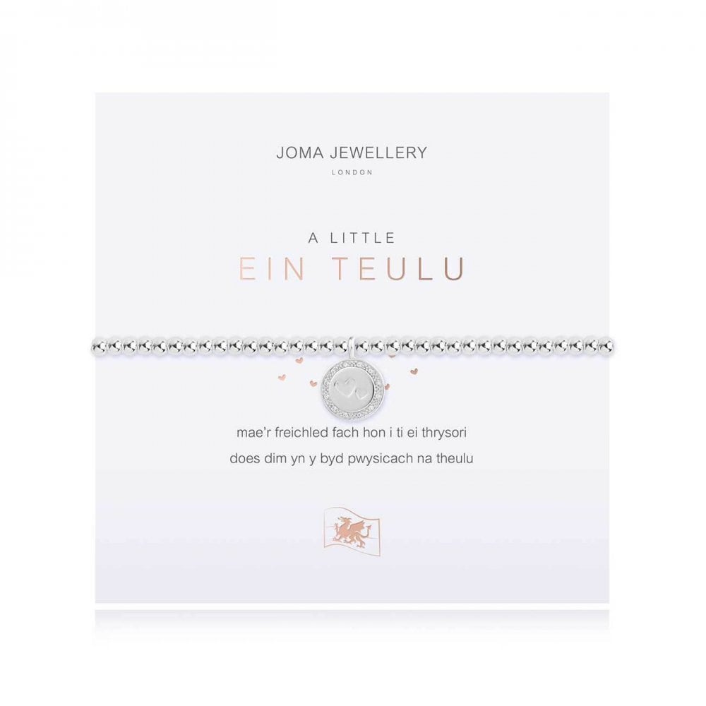 A Little | Our Family (Welsh) | Silver | Bracelet | 17.5cm Stretch