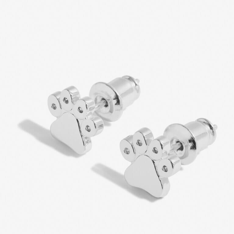 Beautifully Boxed A Little Earrings | Love Has Four Paws | Silver | Earring Box