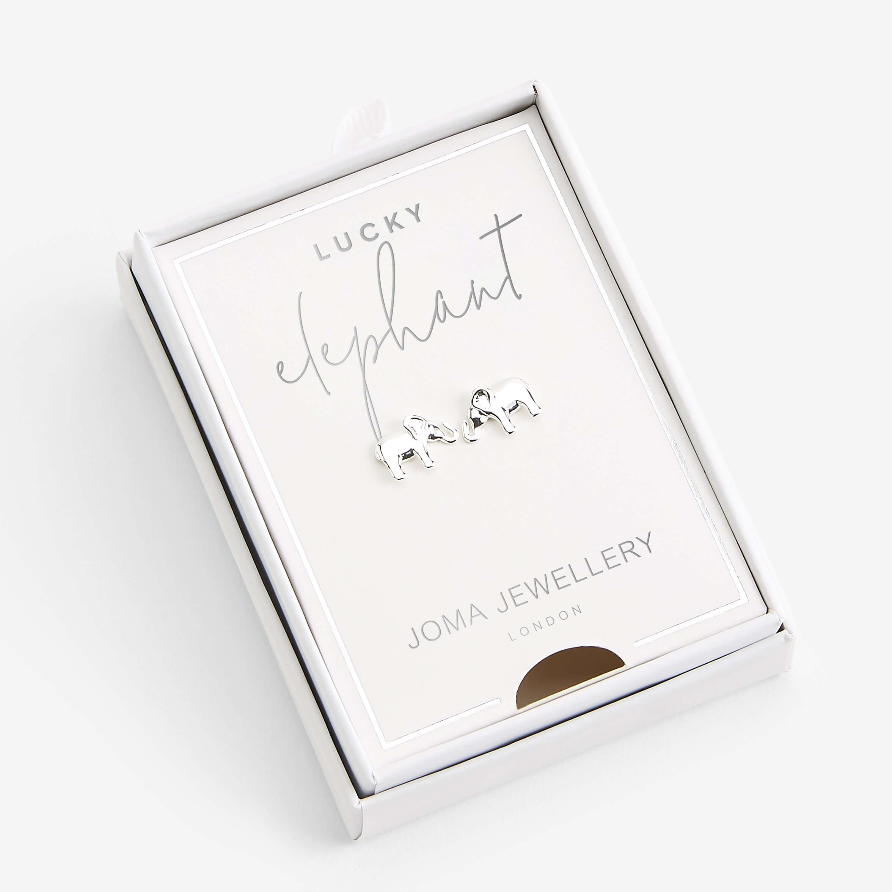 Treasure The Little Things | Lucky Elephant | Silver | Earring Box