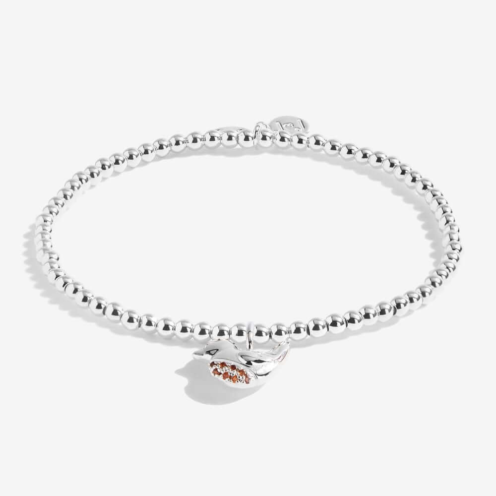 Christmas Cracker | Red Robin | Silver | 17.5cm Stretch