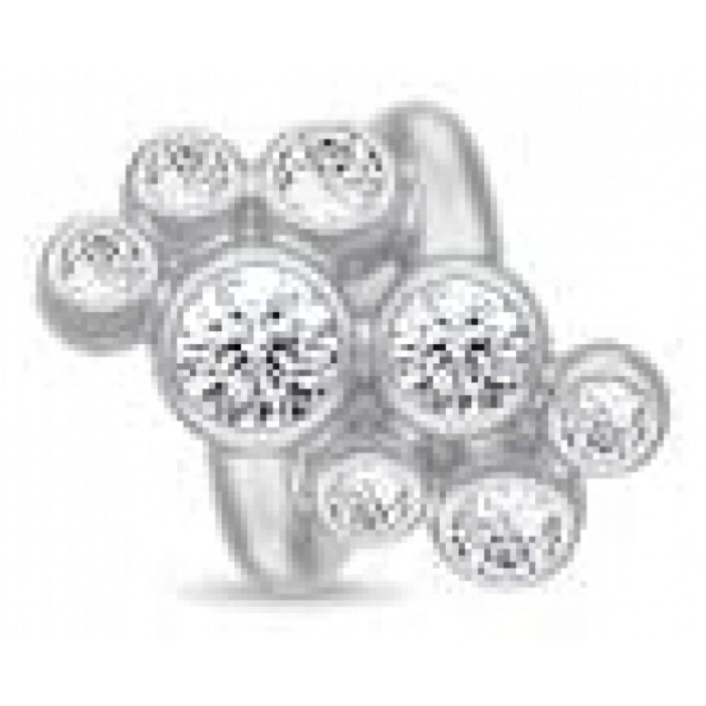 Sterling Silver Sky Of Stars White CZ Charm