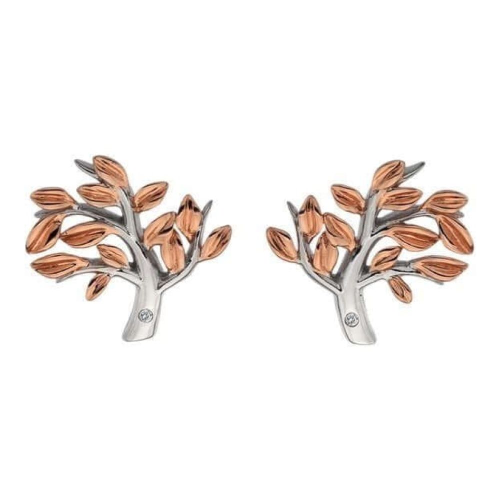 Rose Gold Plated Passionate Earrings