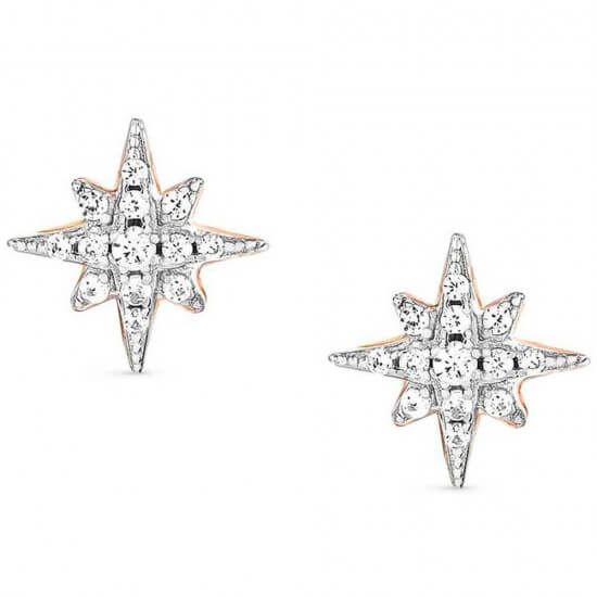 Sweetrock Romance Rose Gold Tone Wind Rose Earrings