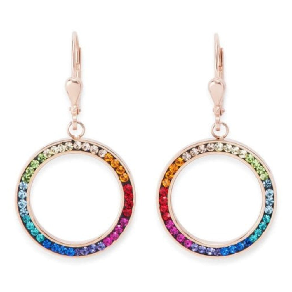 Multicolour Circle Pierced Earrings