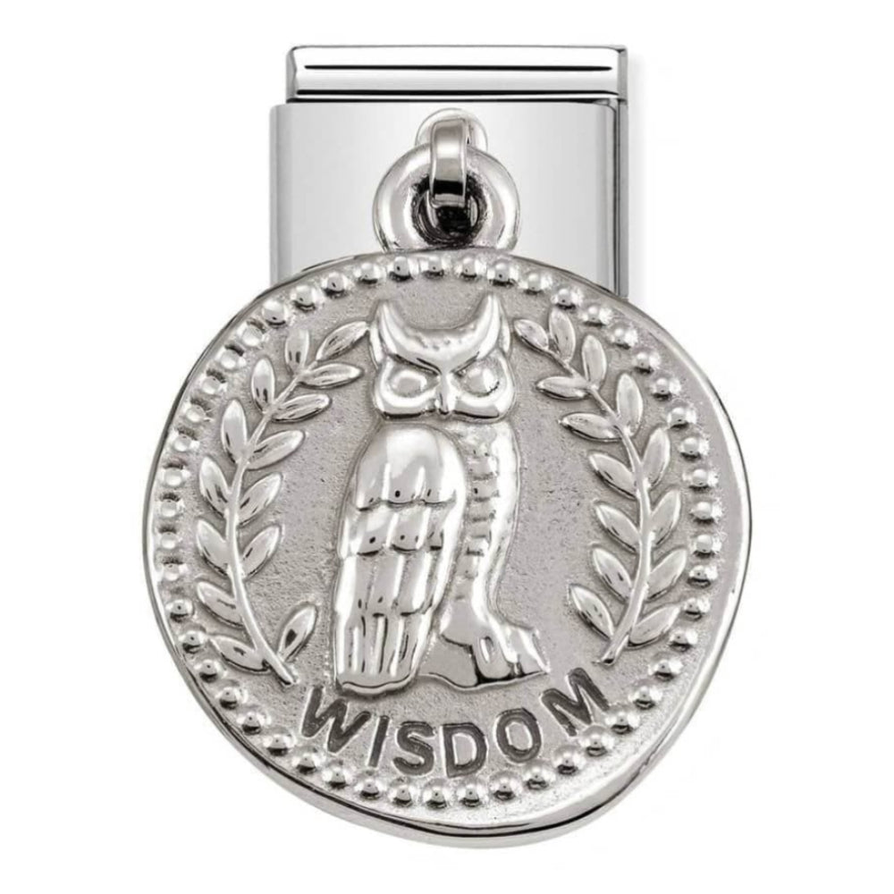 Classic Wishes Steel & 925 Silver Wisdom Link