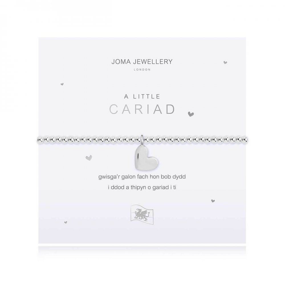 A Little | Love (Welsh) | Silver | Bracelet | 17.5cm Stretch
