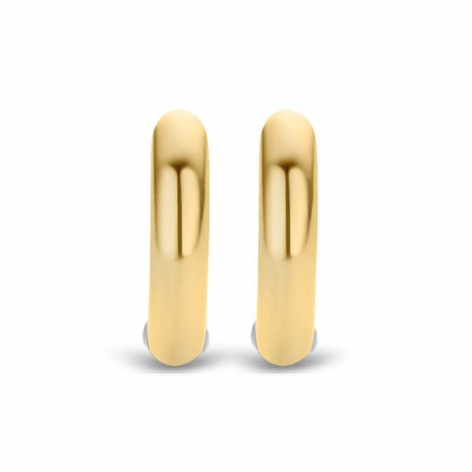 Two Tone Hoop Earrings
