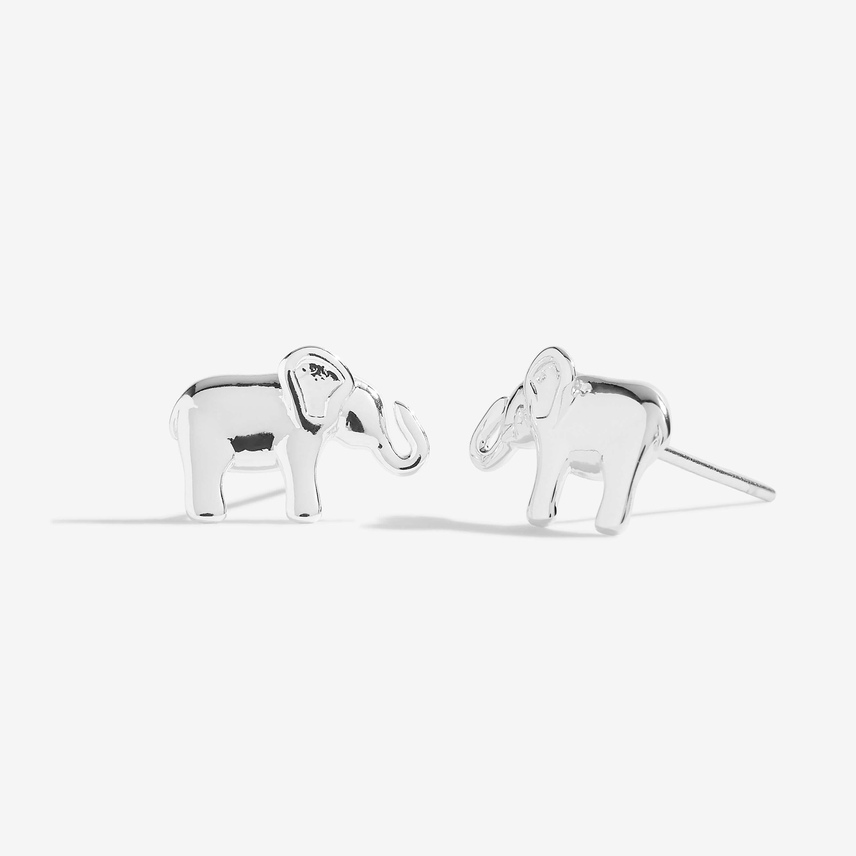 Treasure The Little Things | Lucky Elephant | Silver | Earring Box
