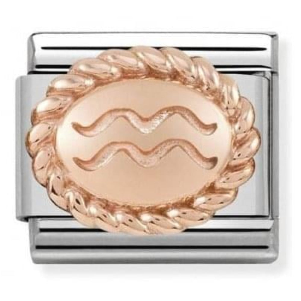 Classic Link In Stainless Steel With Rose Gold Zodiac Aquarius