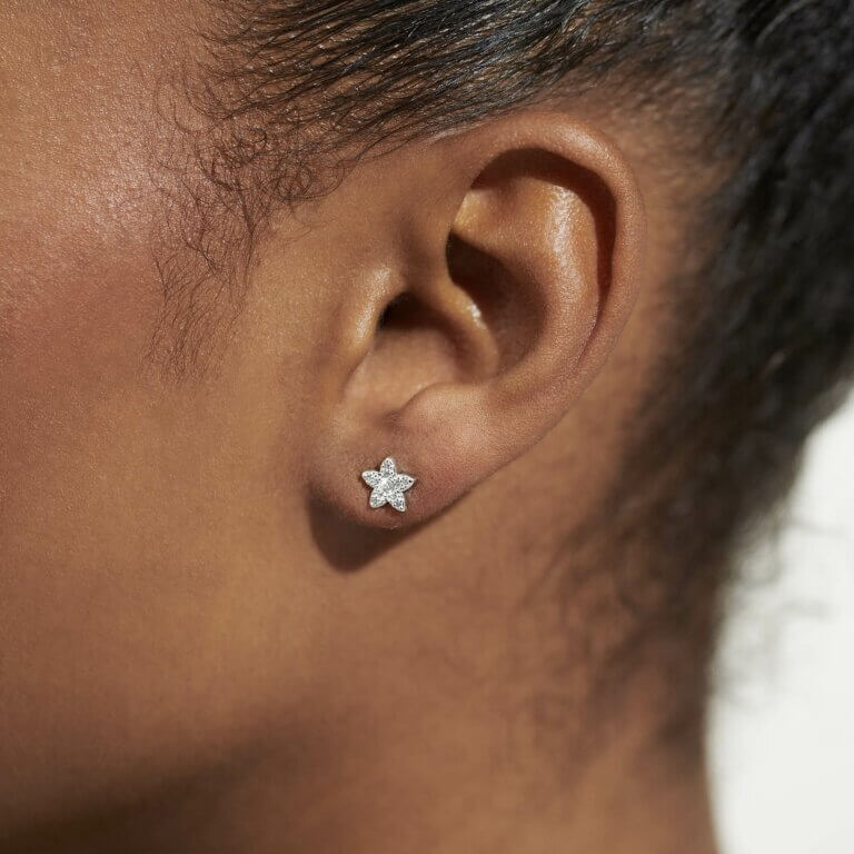 Mother's Day Boxed A Little Earrings 'If Mum's Were Flowers I'd Pick You'