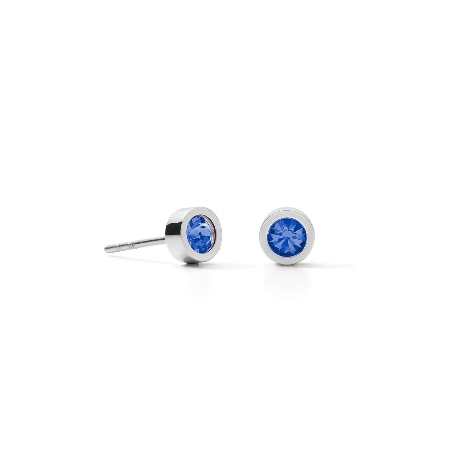 Blue Sparkling Dot Earrings
