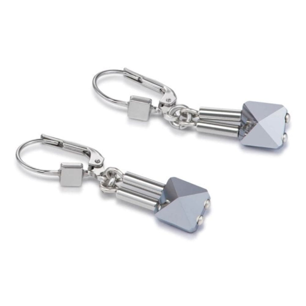 Swarovski Crystals & Stainless Steel Pierced Earrings