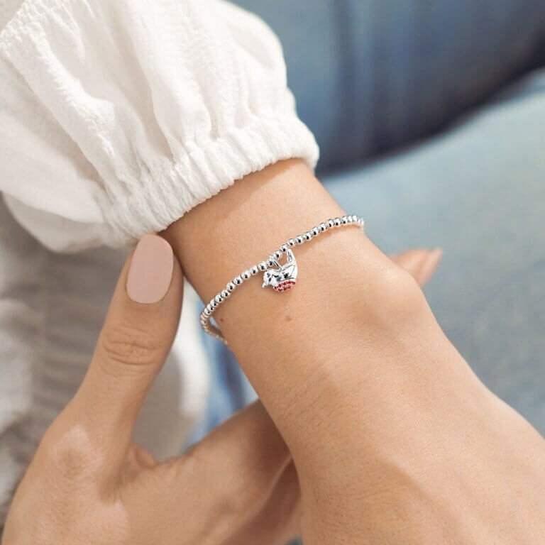 A Little | Robins Appear When Loved Ones Are Near | Silver | Bracelet | 17.5cm Stretch