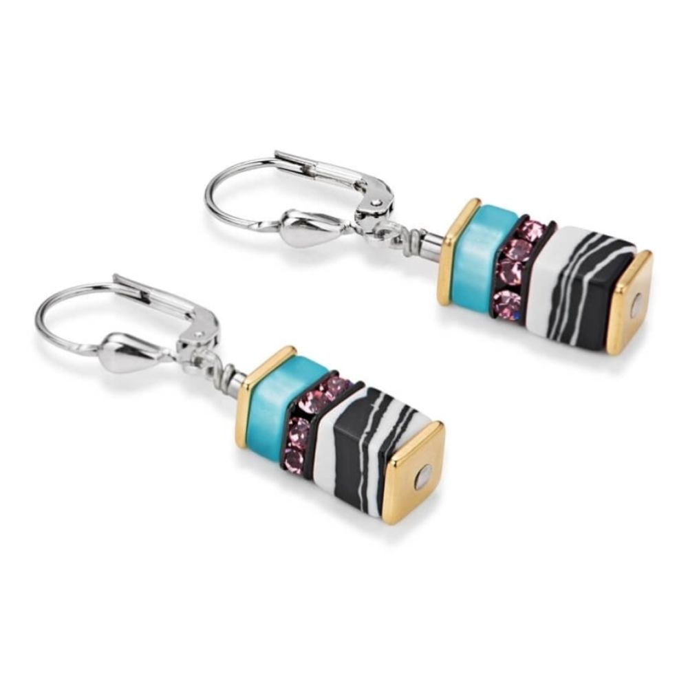 Multicolour Pastel Leverback Earrings