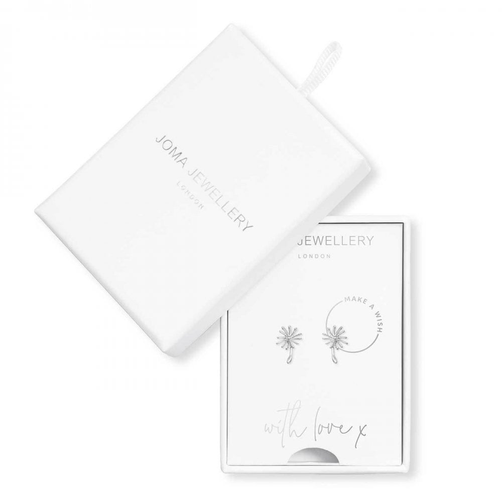 Treasure The Little Things | Make A Wish | Silver | Earring Box