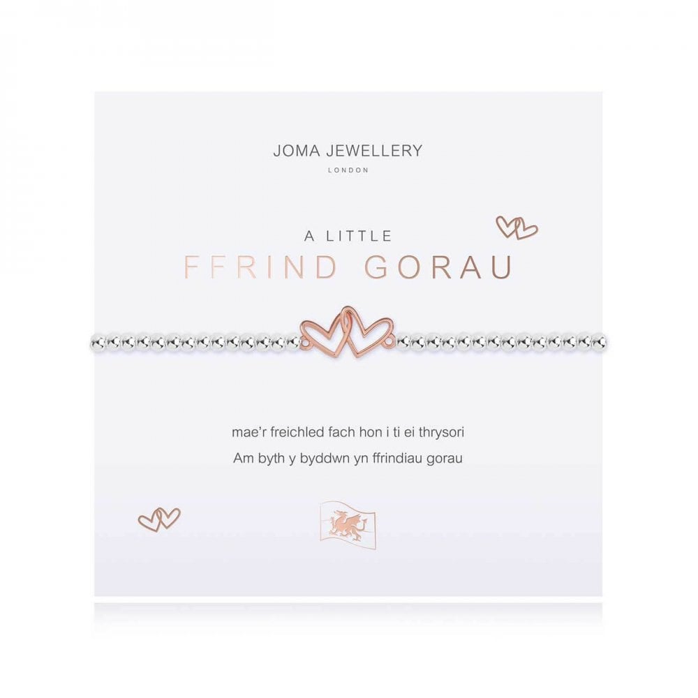 A Little | Best Friend (Welsh) | Silver | Bracelet | 17.5cm Stretch
