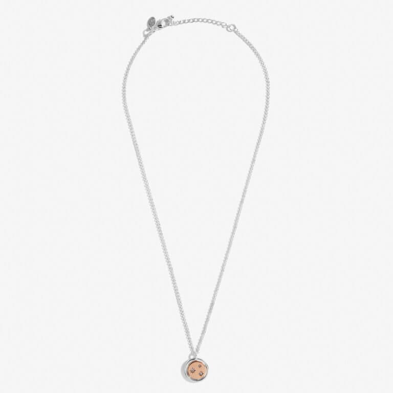 Sentiment Spinners | Family | Silver And Rose Gold | Necklace | 46cm + 6cm Extender