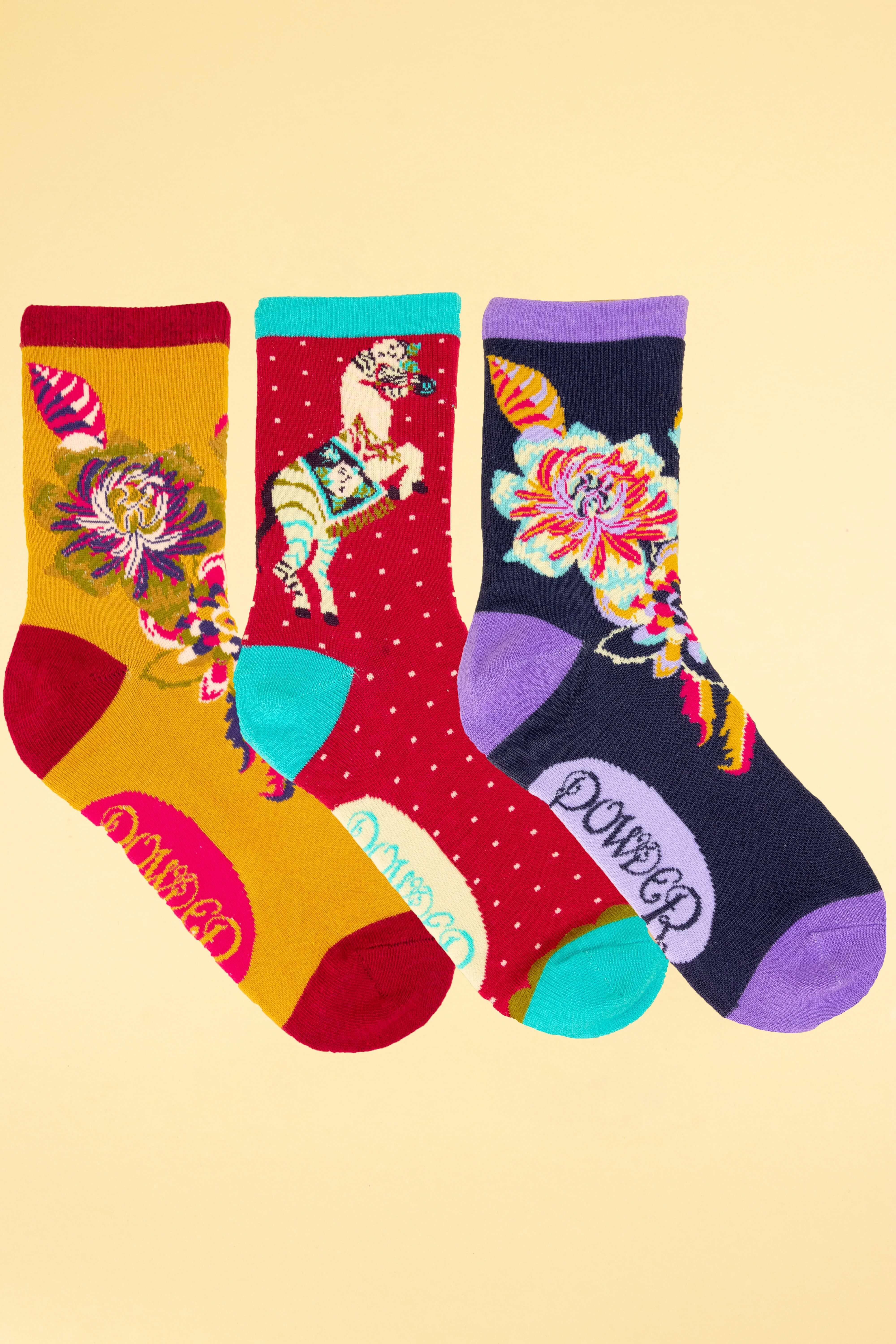 Ladies Zebra Carnival Sock Box
