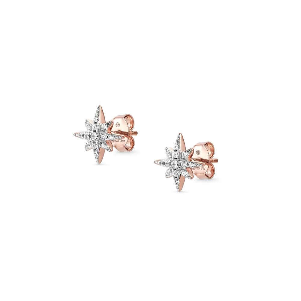 Sweetrock Romance Rose Gold Tone Wind Rose Earrings