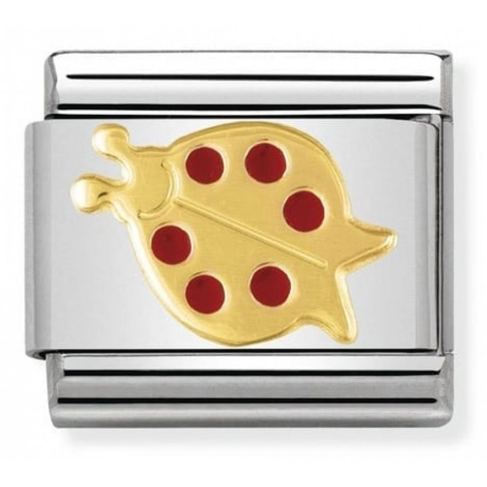 Classic Red Ladybird In Stainless Steel With Enamel & 18k Gold Charm