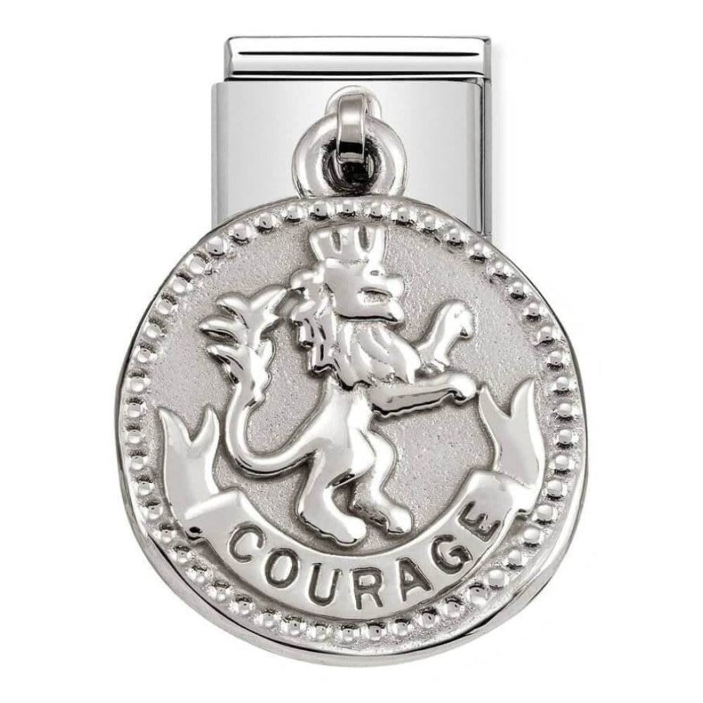 Classic Wishes Steel & 925 Silver Courage Link