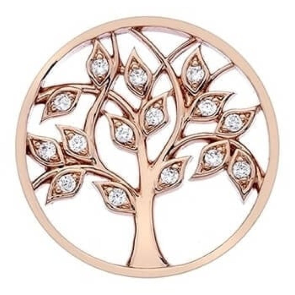 Balance & Harmony Rose Gold Plate Coin - 25mm