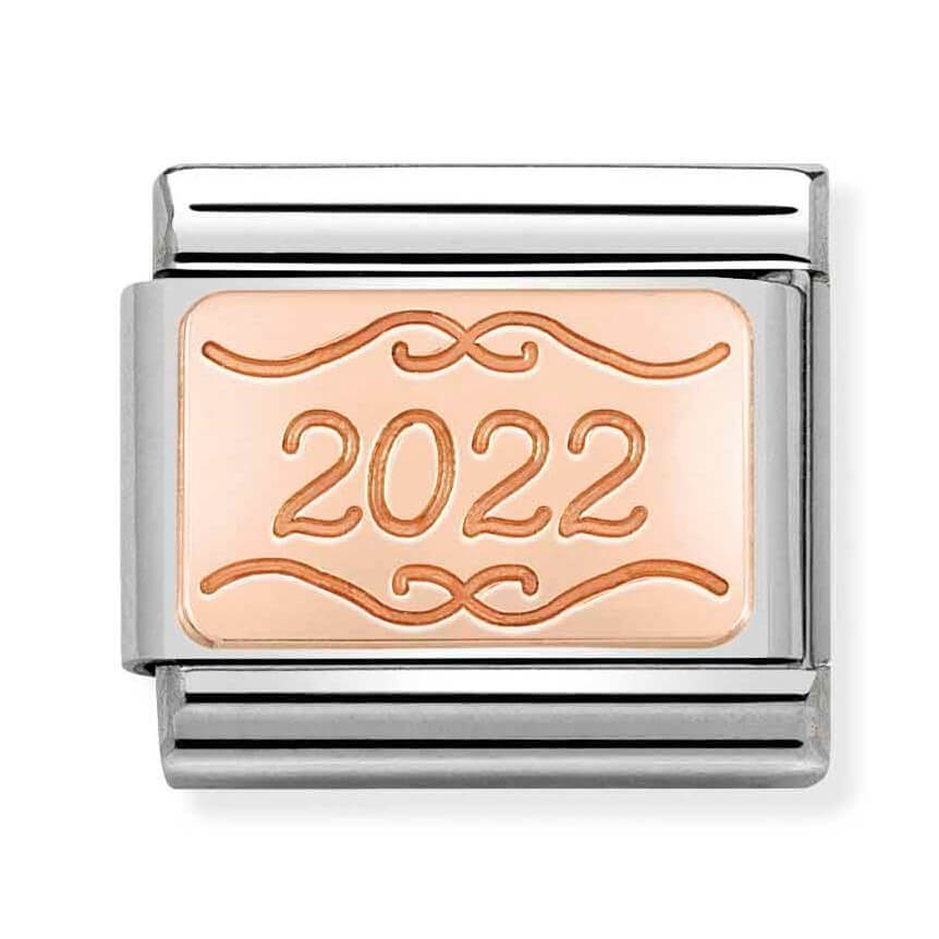 Composable Classic Stainless Steel Link & 9k Rose Gold With 2022