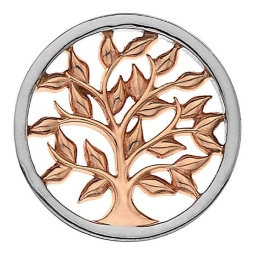 25mm Sterling Silver & Rose Gold Plated Balance & Harmony Reversible Coin