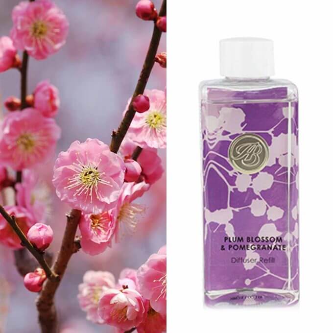 BL Diffuser Refill: Plum Blossom & Pomegranate