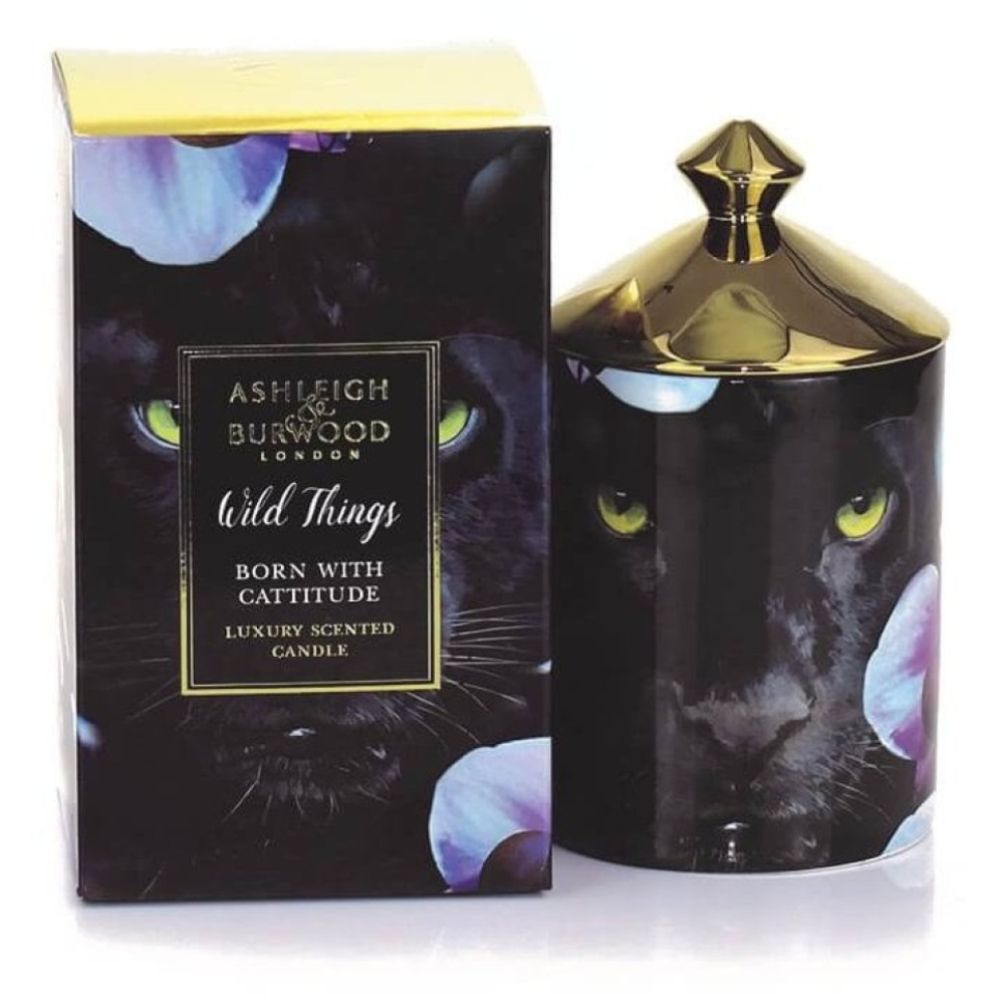 Born with Cattitude (Dark Ginger Lily) Candle