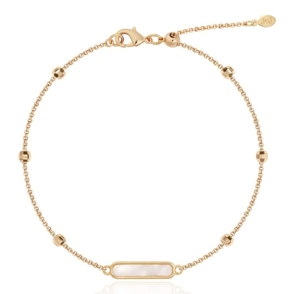Anklet | Gold Shell| 26cm Total Length