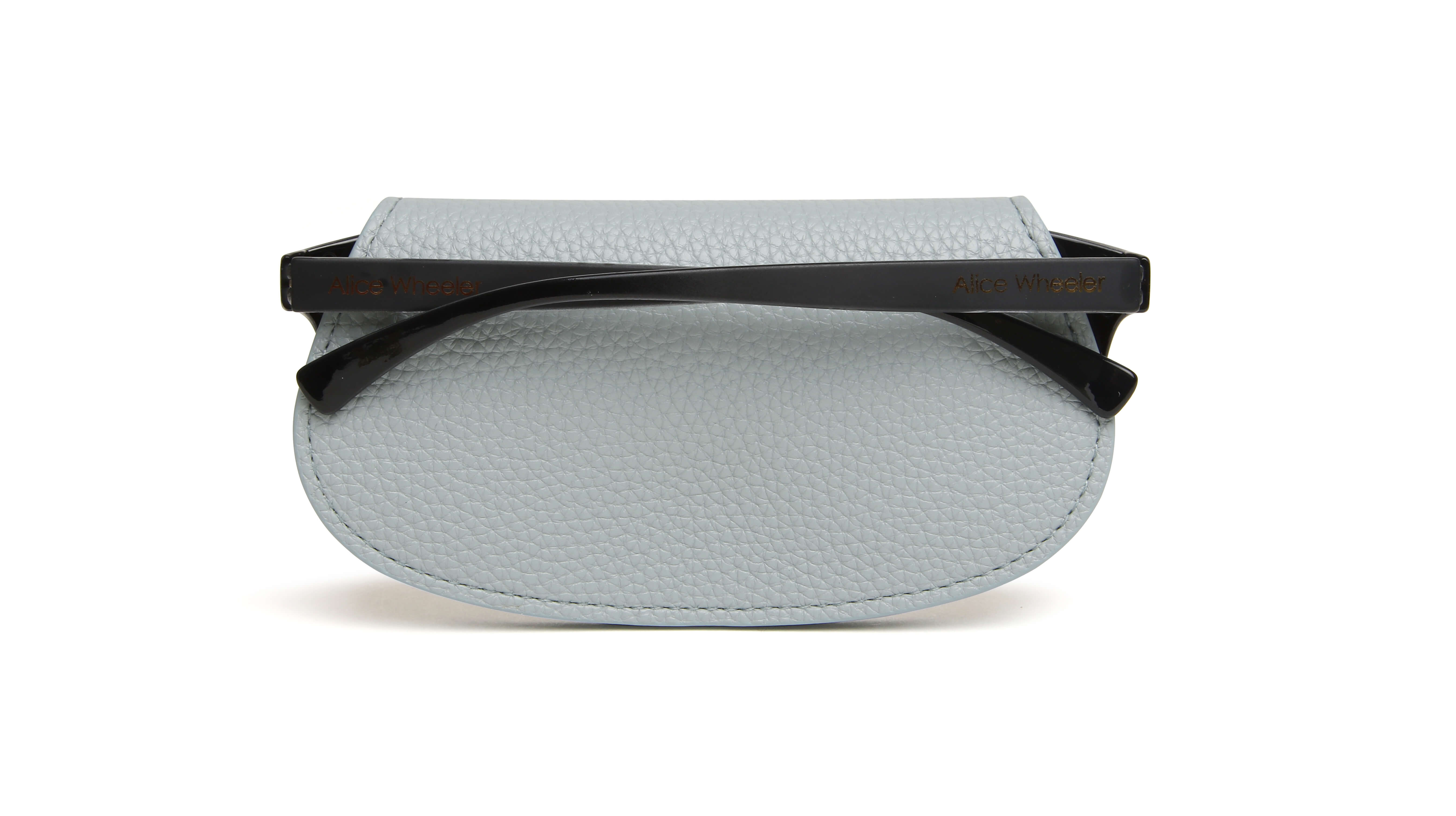 Duck Egg Glasses Case