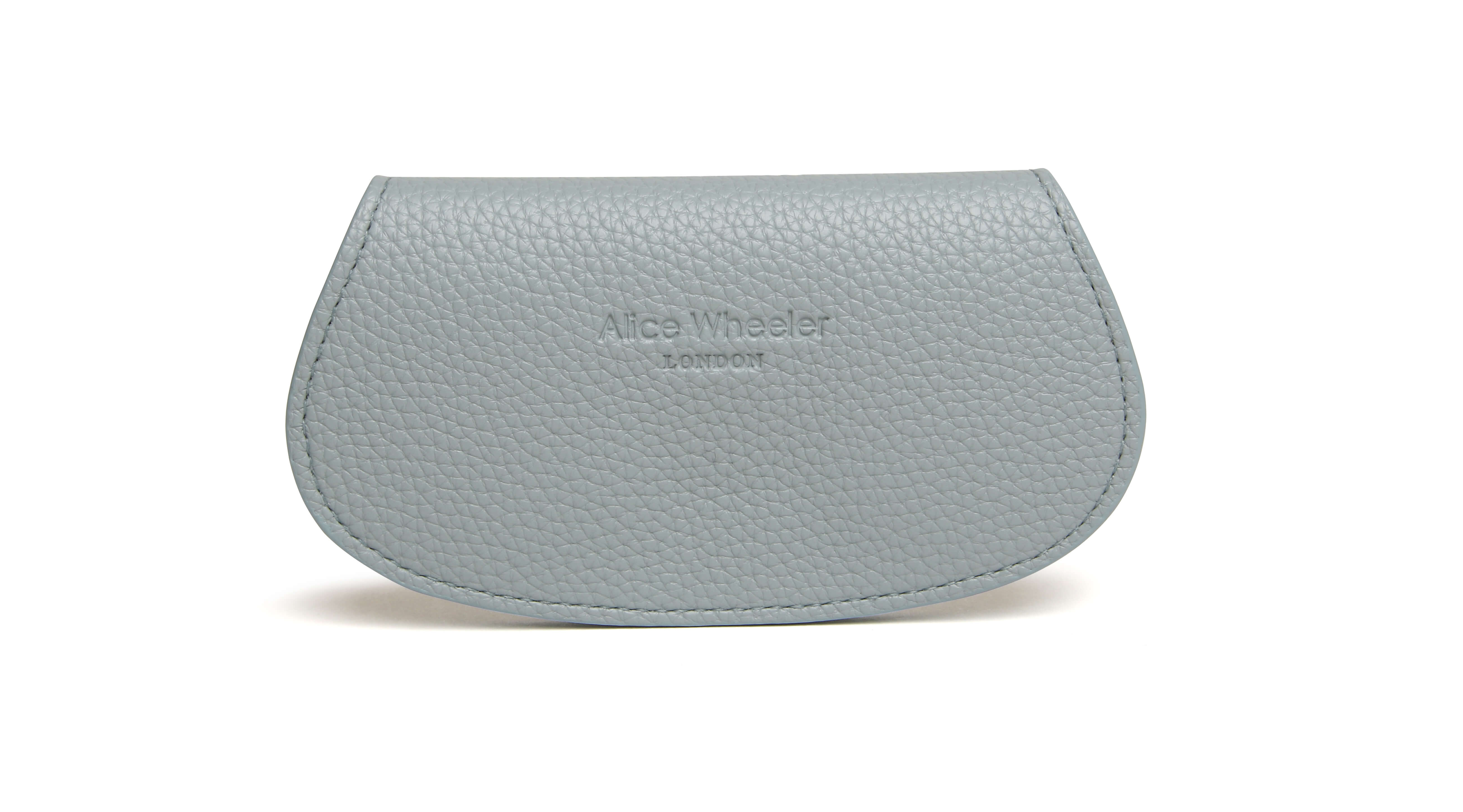 Duck Egg Glasses Case