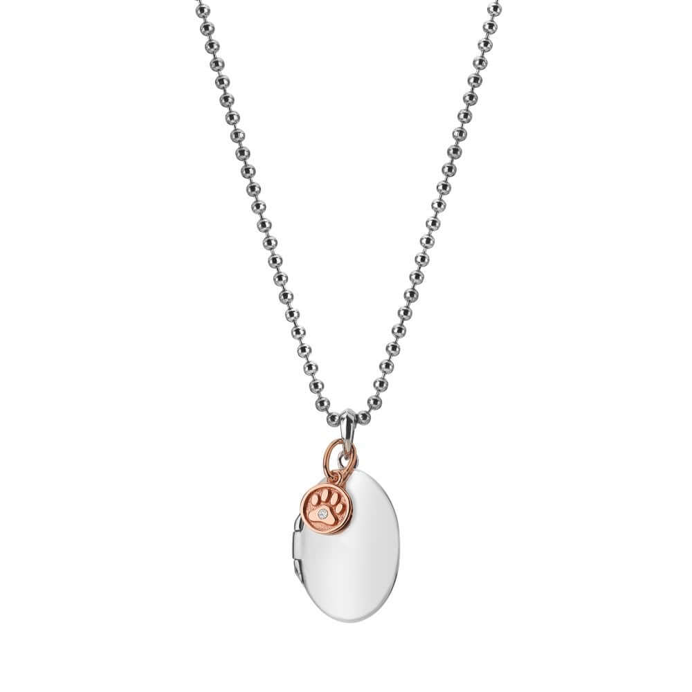 Dog Paw Locket