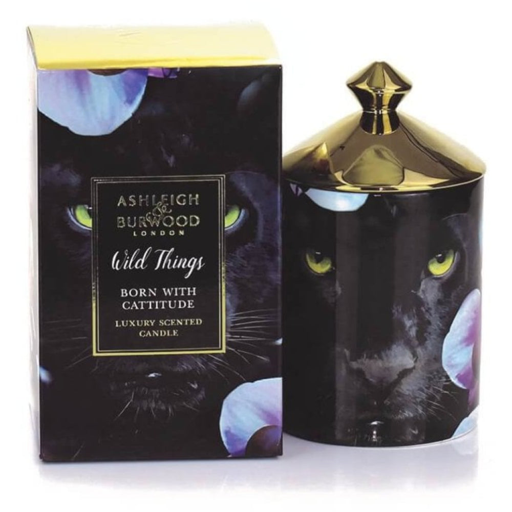 Born with Cattitude (Dark Ginger Lily) Candle