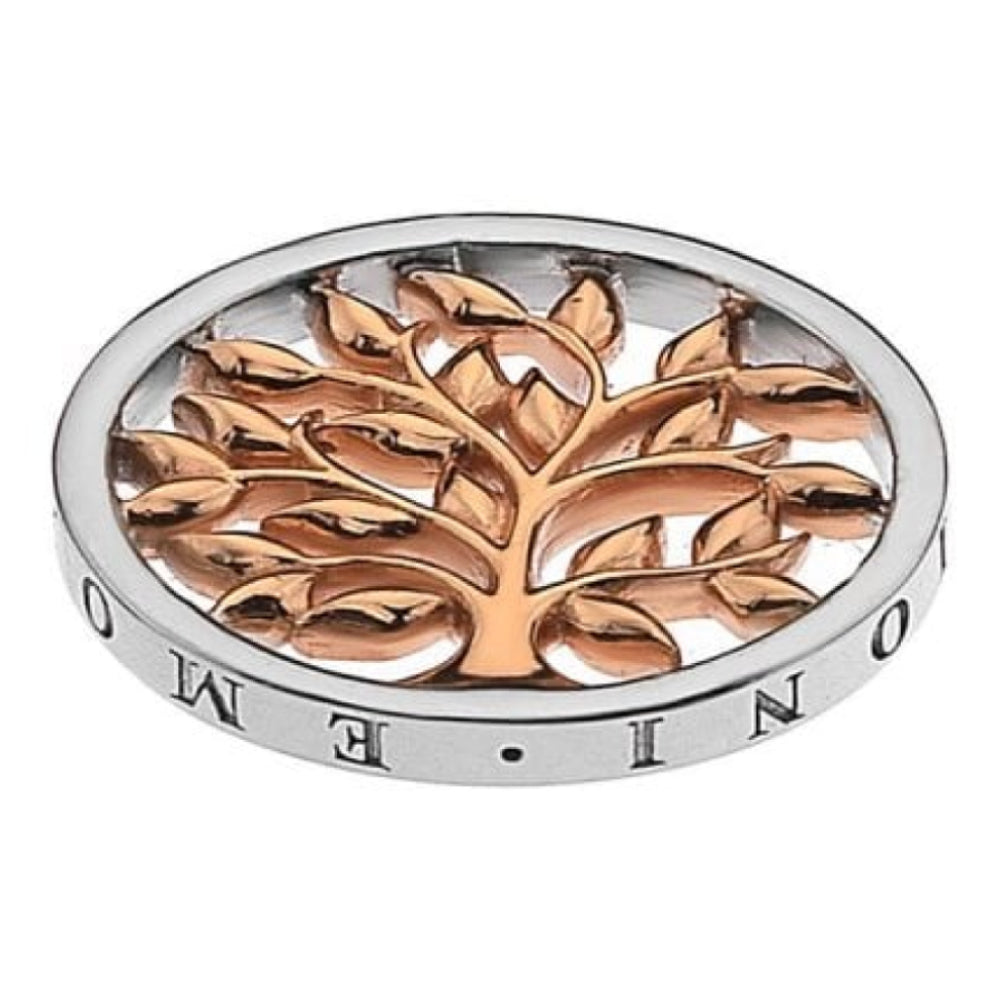 25mm Sterling Silver & Rose Gold Plated Balance & Harmony Reversible Coin