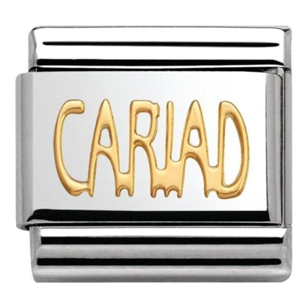 Classic Link In Stainless Steel With Gold CARIAD