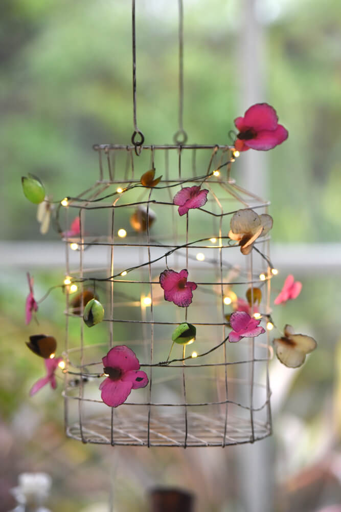 Orchid Battery Powered LED Lights
