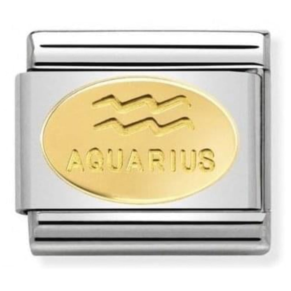 Stainless Steel & Gold Zodiac Aquarius Symbol Classic Link