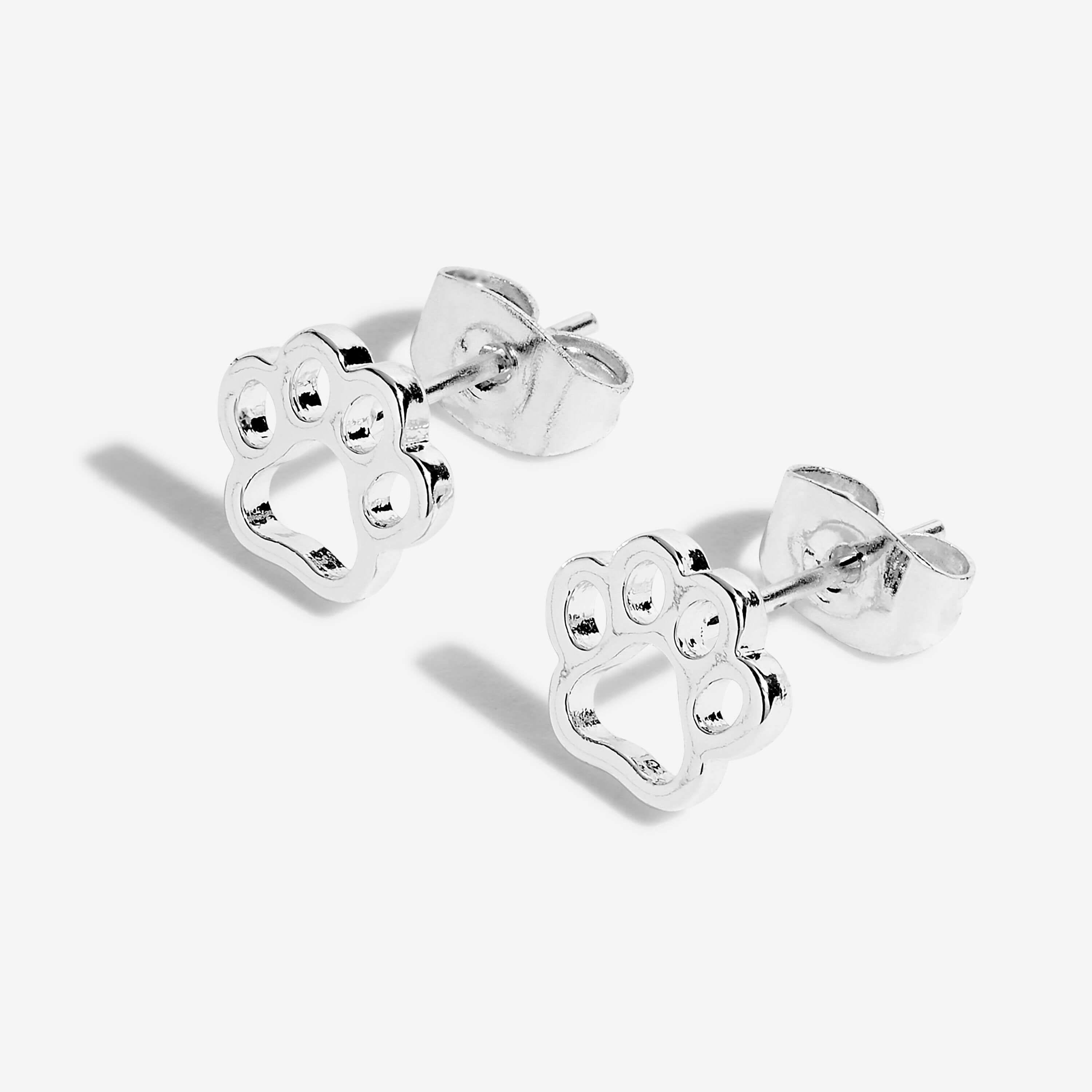 Treasure The Little Things | Love Has Four Paws | Silver | Earring Box