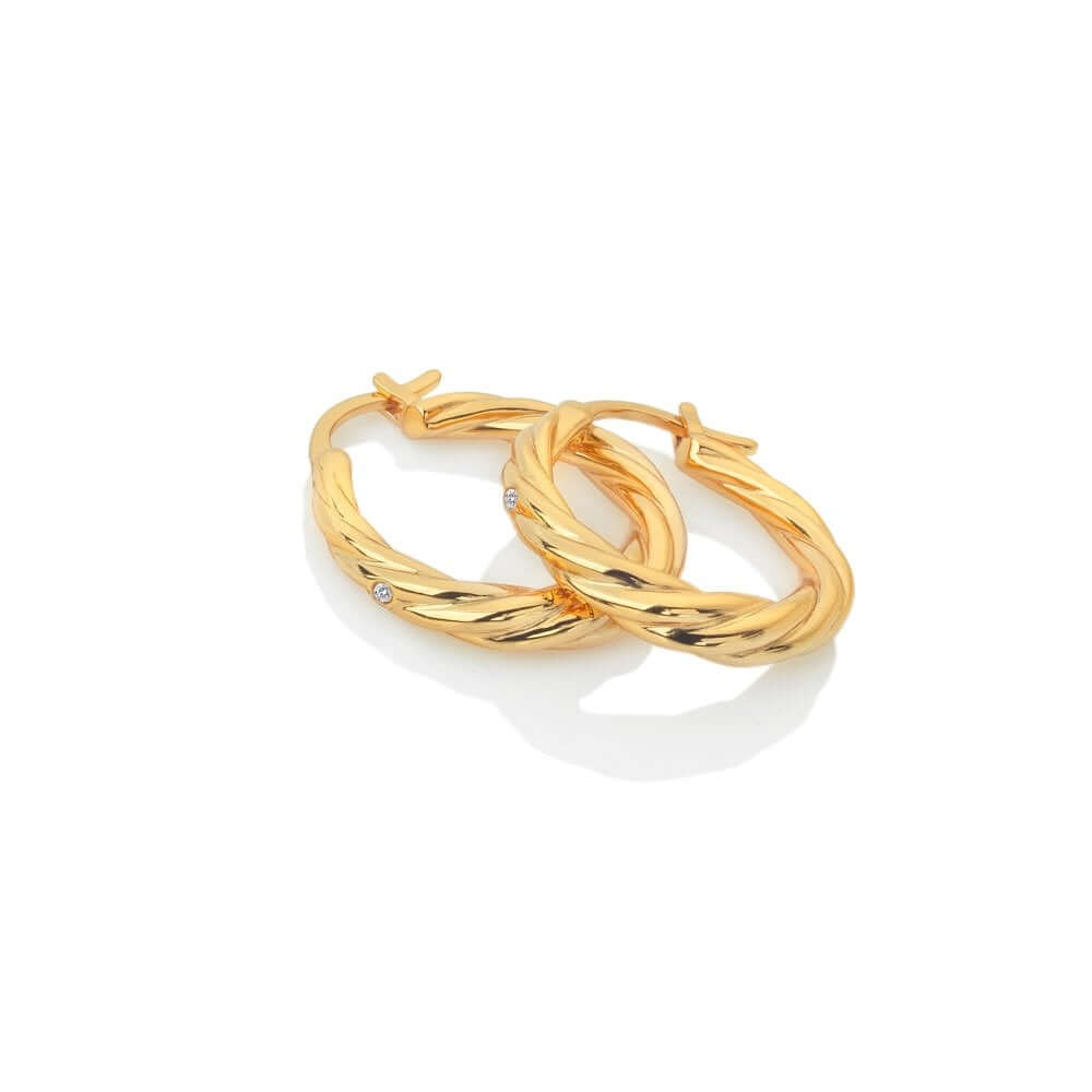 Entwine Earrings