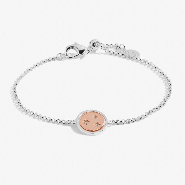 Sentiment Spinners | Family | Silver And Rose Gold | Bracelet | 19cm Adjustable