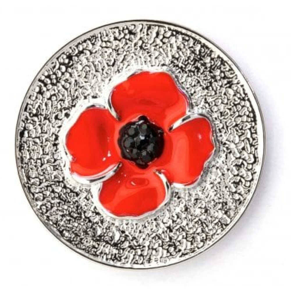 Poopy Pin Badge 25mm
